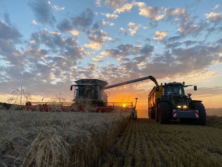 farming