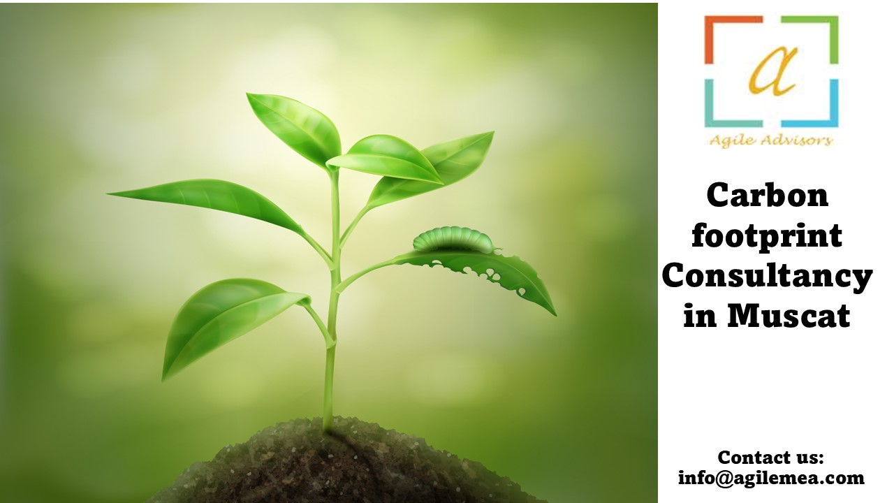 Carbon footprint Consultancy in Muscat