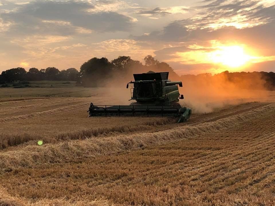 farming