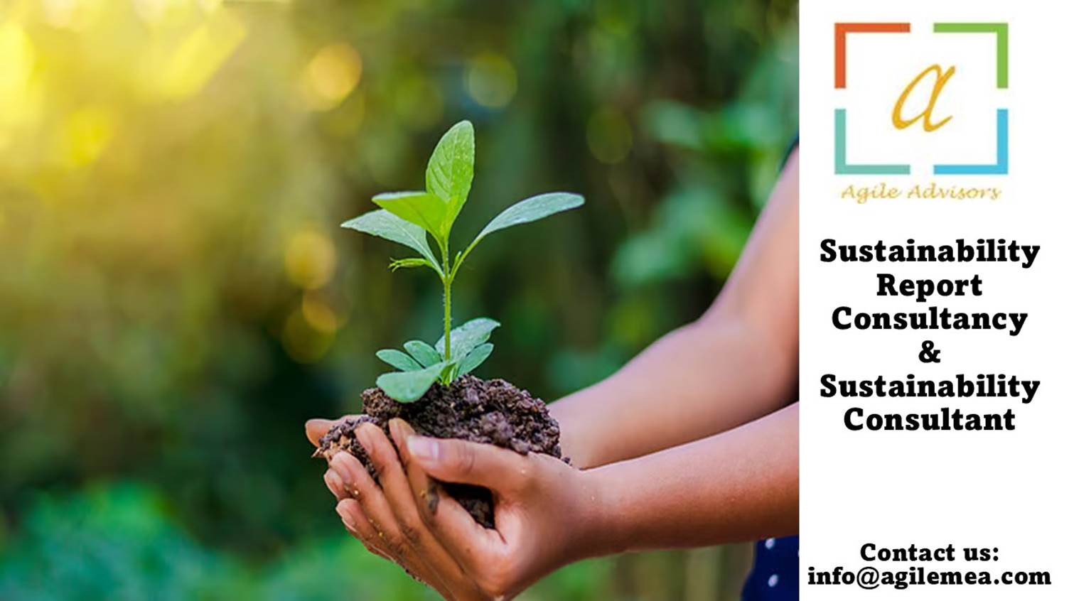A person holding a small plantAI-generated content may be incorrect.