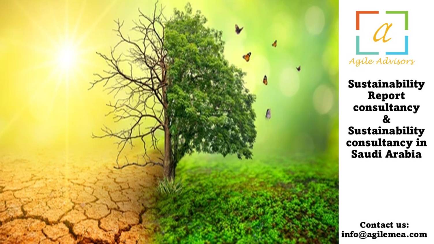 Sustainability Report Consultancy