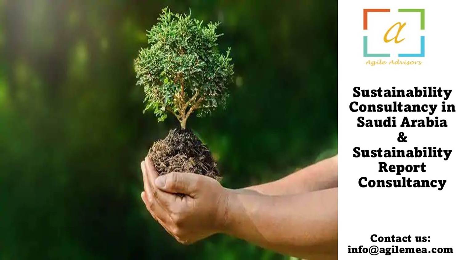 A person holding a small tree
AI-generated content may be incorrect.