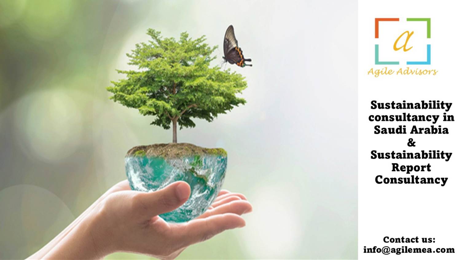 Sustainability Consultancy in Saudi Arabia