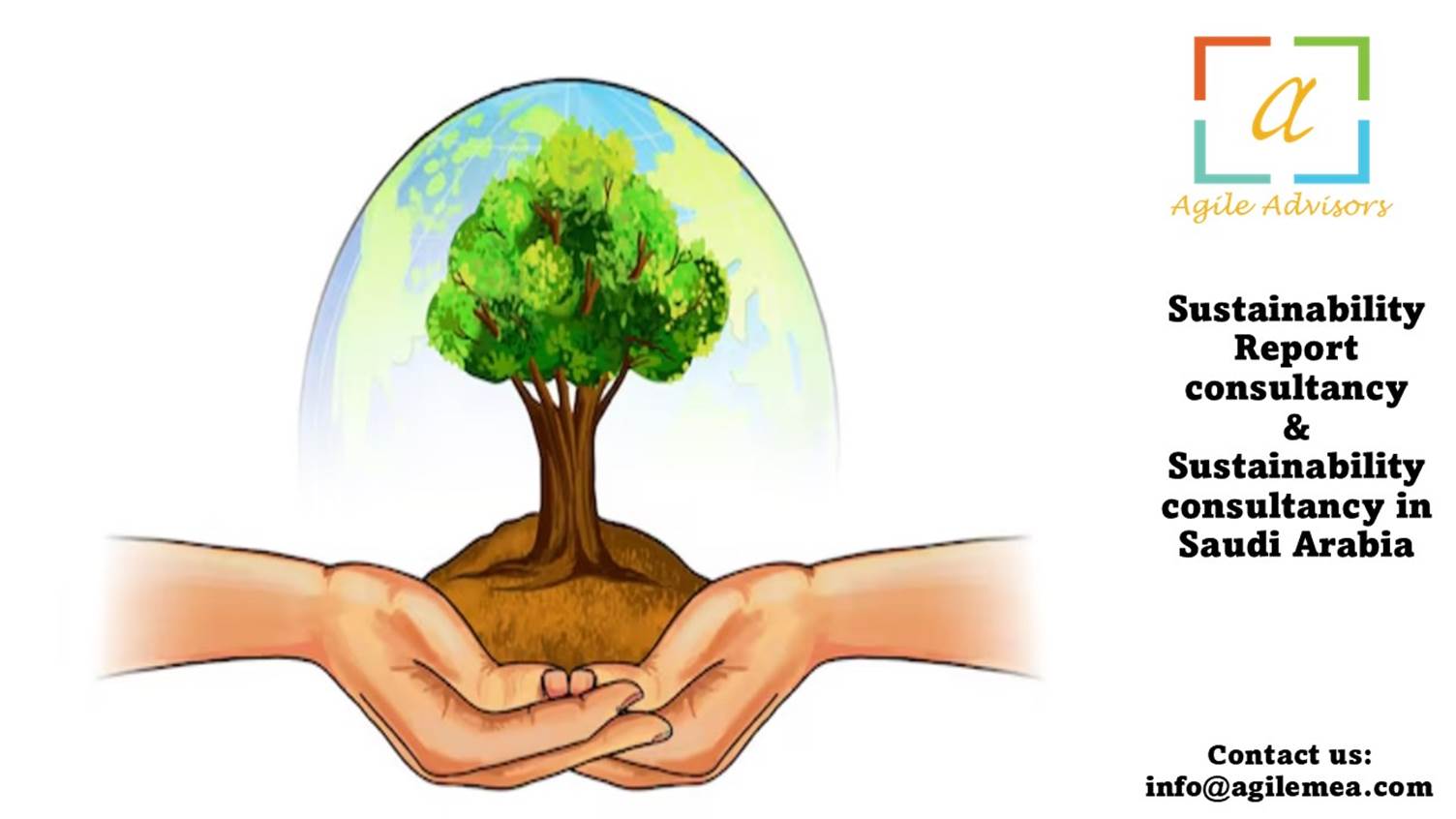 Sustainability Report Consultancy