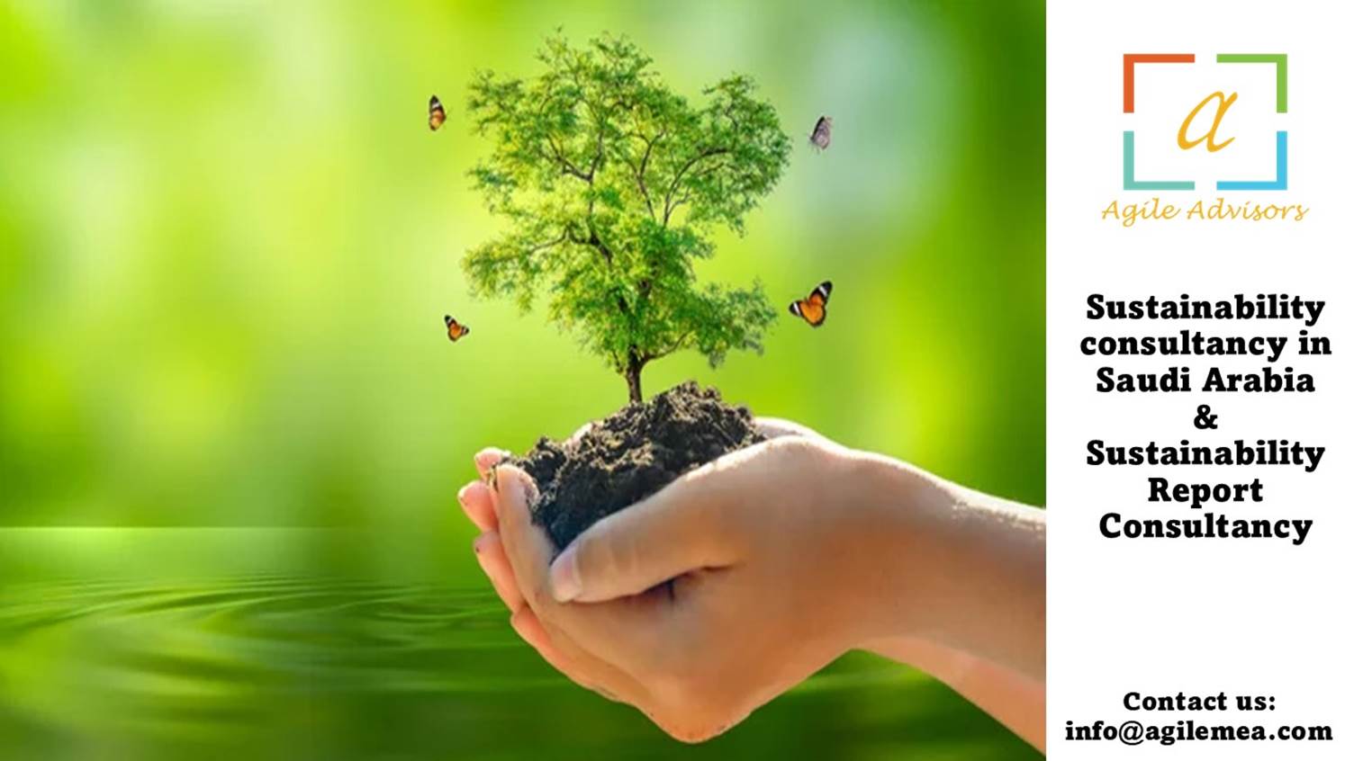 Sustainability Consultancy in Saudi Arabia