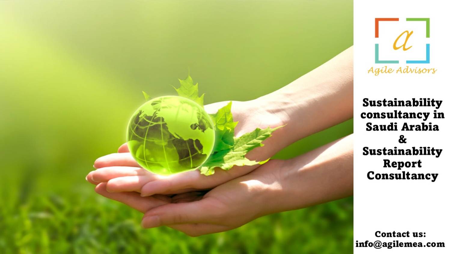 Sustainability Report Consultancy