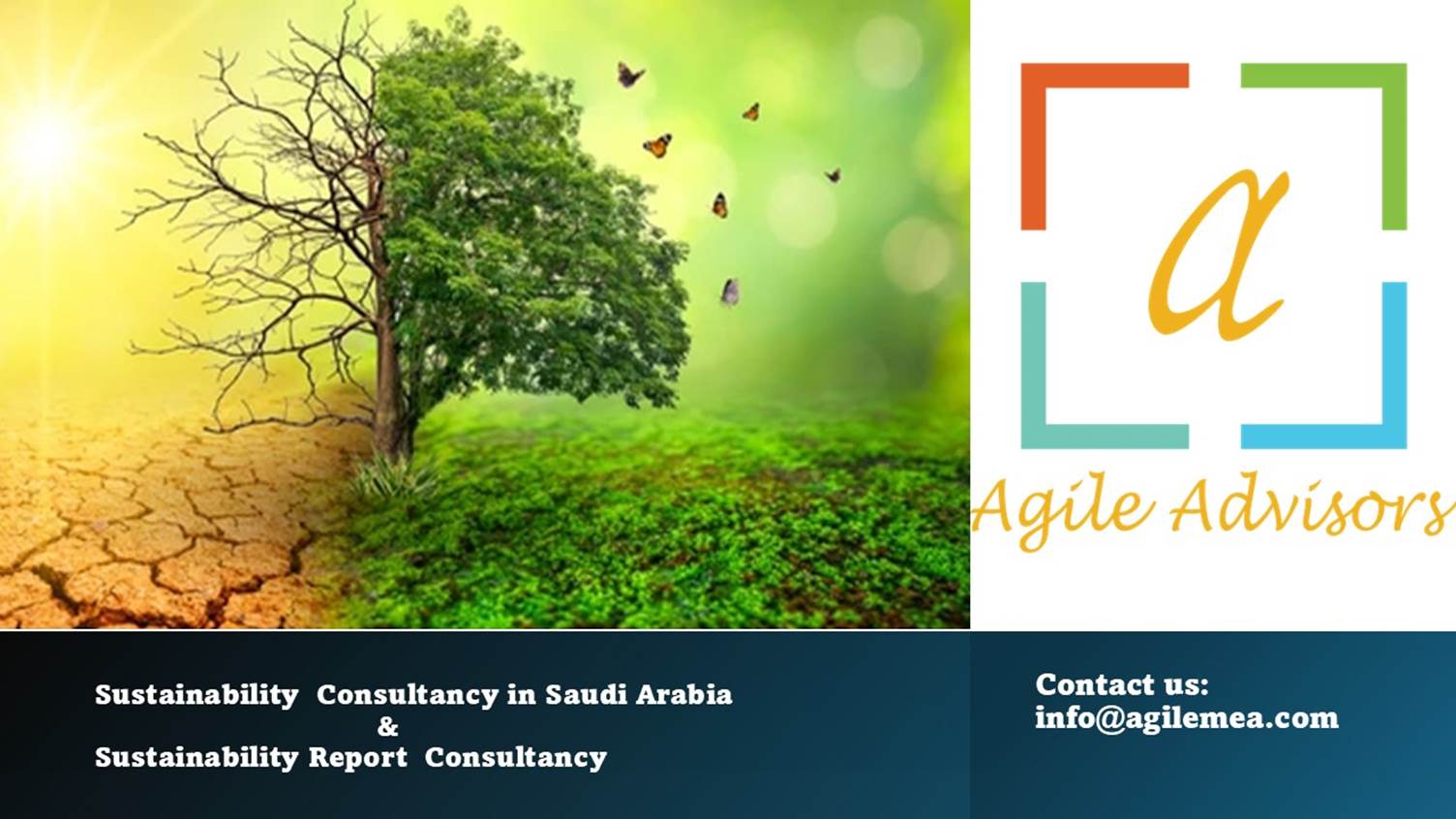 Sustainability REport Consultancy
