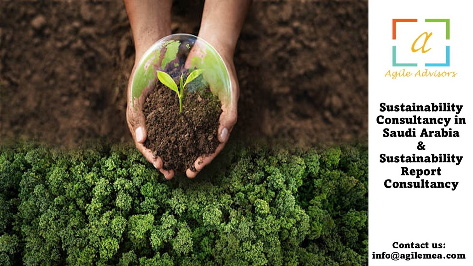 Sustainability Consultancy in Saudi Arabia