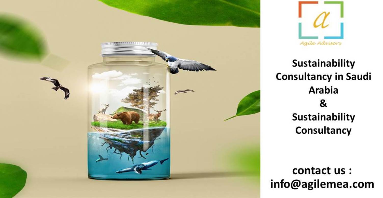 sustainability Consultancy