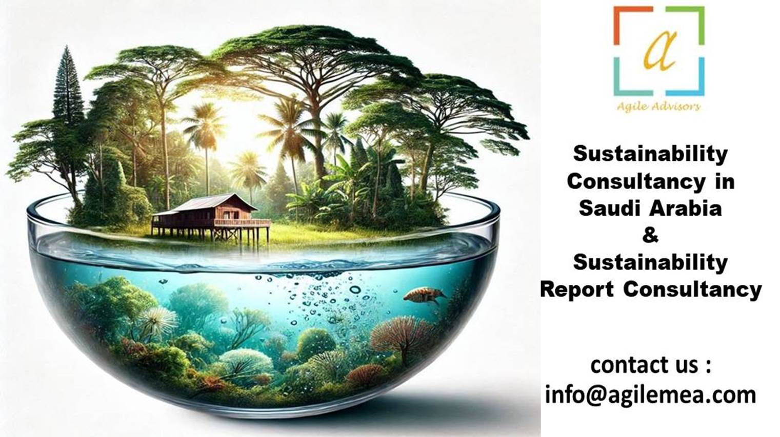 Sustainability Report Consultancy