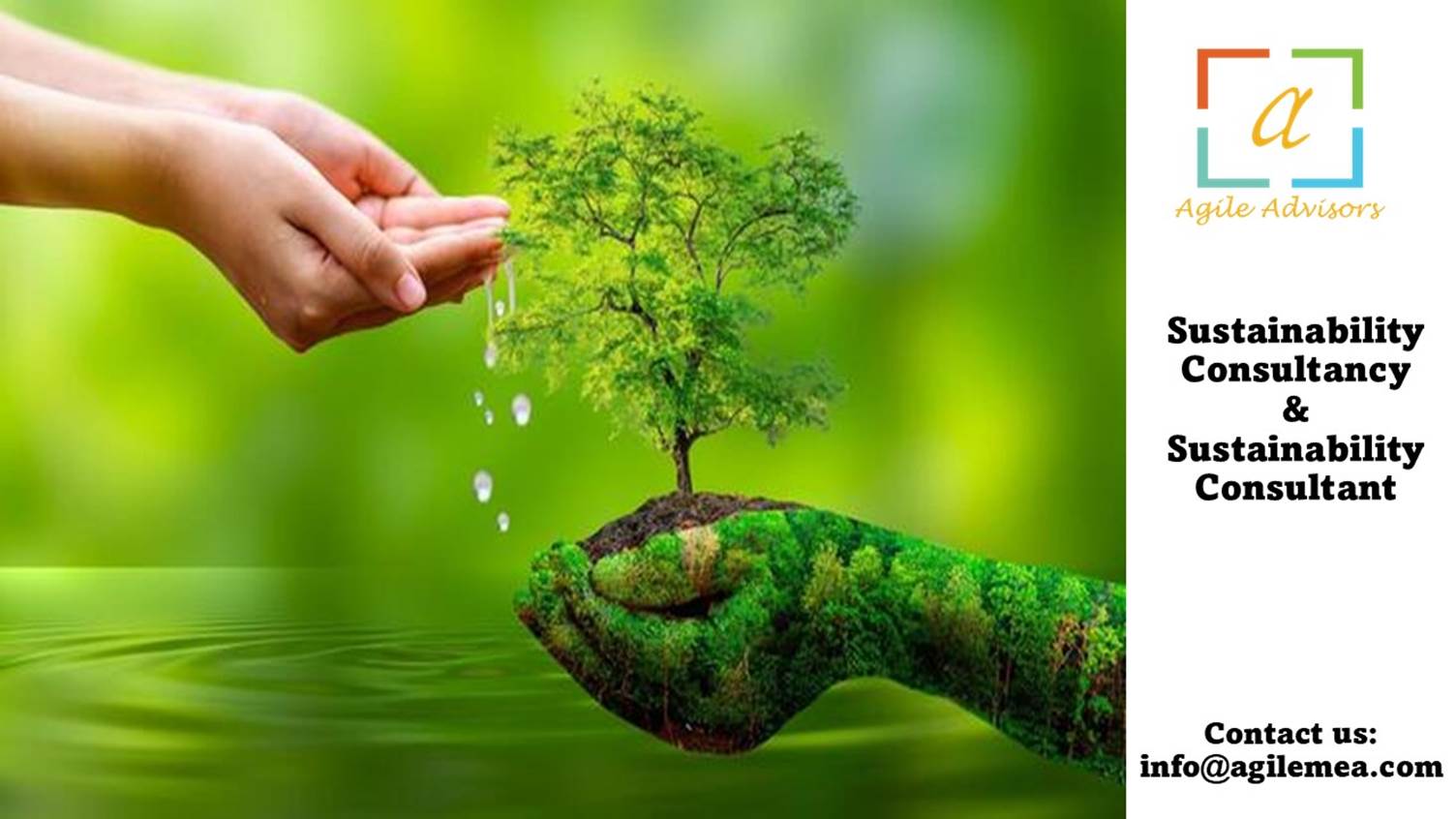 A hand holding a tree
AI-generated content may be incorrect.