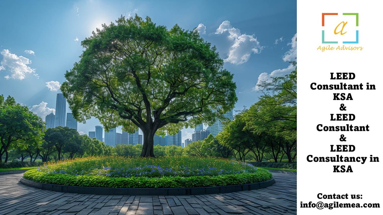 A tree in a park
AI-generated content may be incorrect.