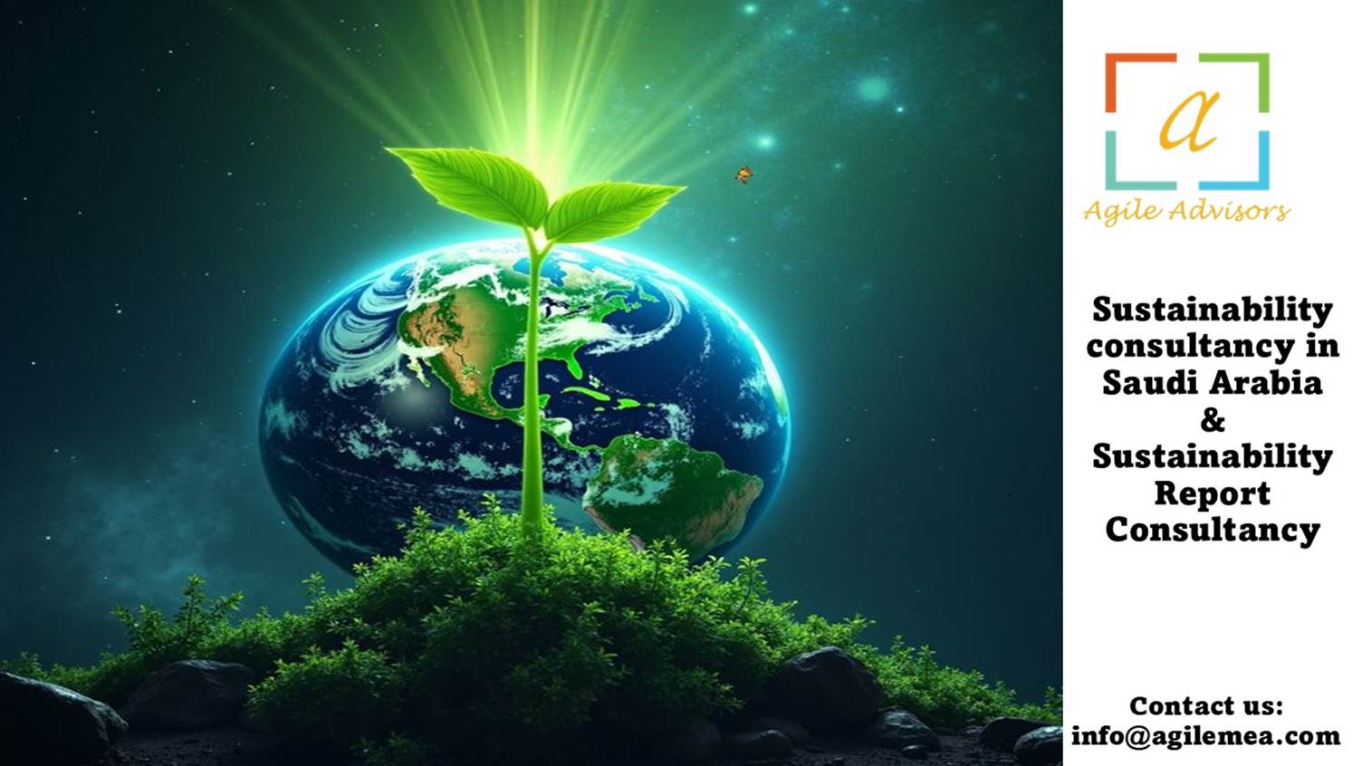 A plant growing from the groundAI-generated content may be incorrect.