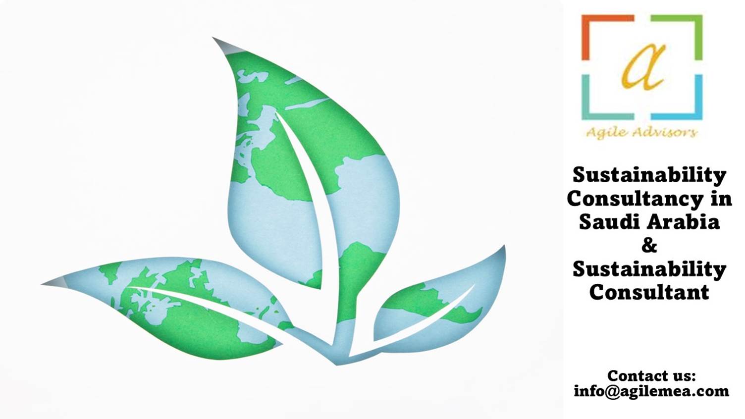 Sustainability Consultant
