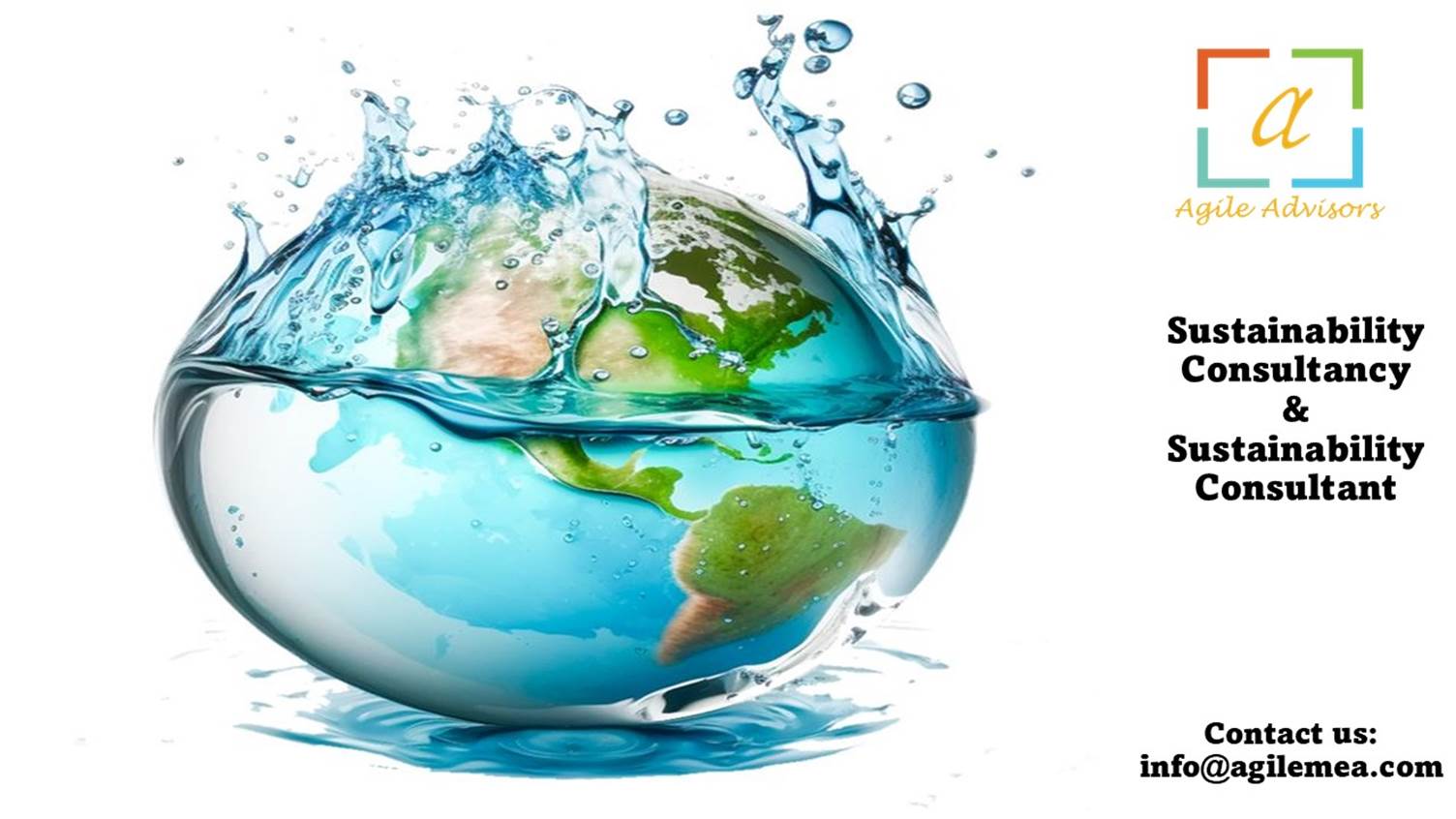 Sustainability Consultancy