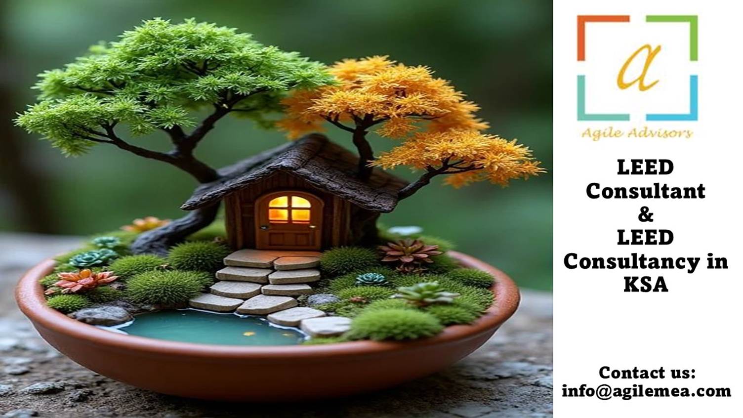 A small house in a bowl
AI-generated content may be incorrect.
