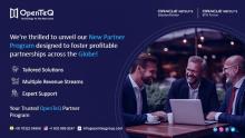 NetSuite Partner