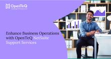 NetSuite Support Services