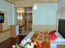 Luxury Hotel In Manali