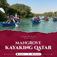 mangrove kayaking Qatar