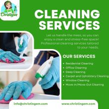 Professional Window Cleaning in Houston, TX