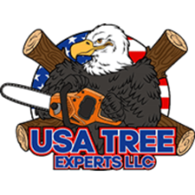 USA Tree Experts