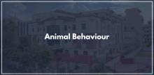 Researchers study animal behavior using various methods, including field observations, experiments, and controlled studies in laboratory settings.