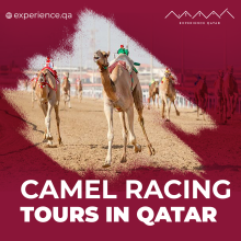 camel racing tours in Qatar