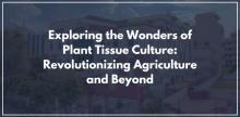 Exploring the Wonders of Plant Tissue Culture: Revolutionizing Agriculture and Beyond