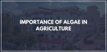 IMPORTANCE OF ALGAE IN AGRICULTURE