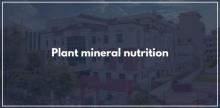 Many factors influence nutrient uptake for plants. 