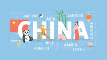 Professional Translation Services