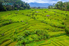 image of lush green mountains