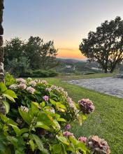 Properties for Sale in Piemonte