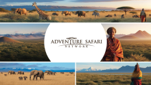Adventure Safari Network: Premier Wildlife Safaris & Tours