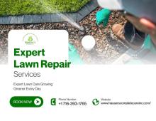 Best Lawn Repair in New York