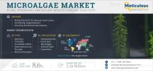 #Microalgae, #MarketAnalysis, #Spirulina, #Chlorella, #DunaliellaSalina, #Nannochloropsis, #Photobioreactors, #Fermenters, #Ponds, #Nutraceuticals, #FoodAndBeverages, #NaturalPigments, #HealthAndWellness, #DietarySupplements, #SustainableProducts, #Biotechnology, #GlobalForecast, #MarketTrends, #IndustryGrowth, #ConsumerDemand