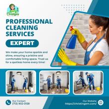 Professional Cleaning Services in Houston