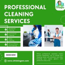 Professional Cleaning Services 