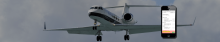 SMS course aviation