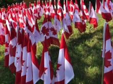  Canada Flags For Sale