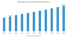 Microbial Lipase Market