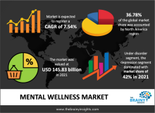 mental wellness market