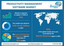 productivity management software market