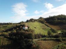 Best Property in Piemonte