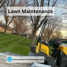 Lawn Maintenance