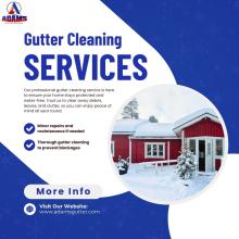 Gutter Cleaning Services in Pennsylvania