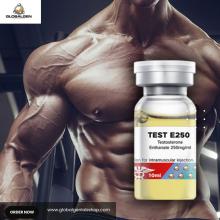 Muscle Growth Supplements