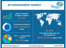 API management market