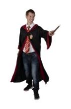 Book Week costumes for teachers